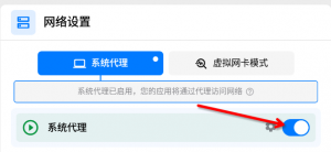 enable system proxy